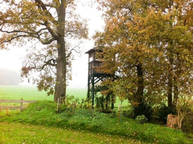 Landhotel Waldseiter Hof Bad Bentheim Extérieur photo
